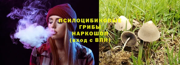 соль ск Корсаков