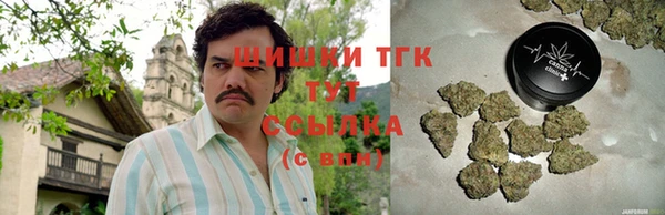 гашик Костерёво