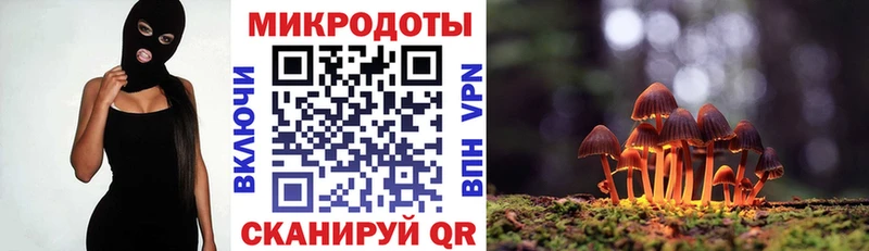 купить закладку  Кинешма  МЕГА ТОР  Галлюциногенные грибы ЛСД 