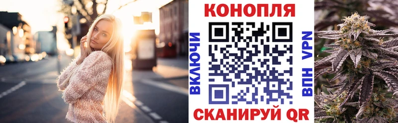 Бошки Шишки THC 21%  даркнет сайт  Кинешма 