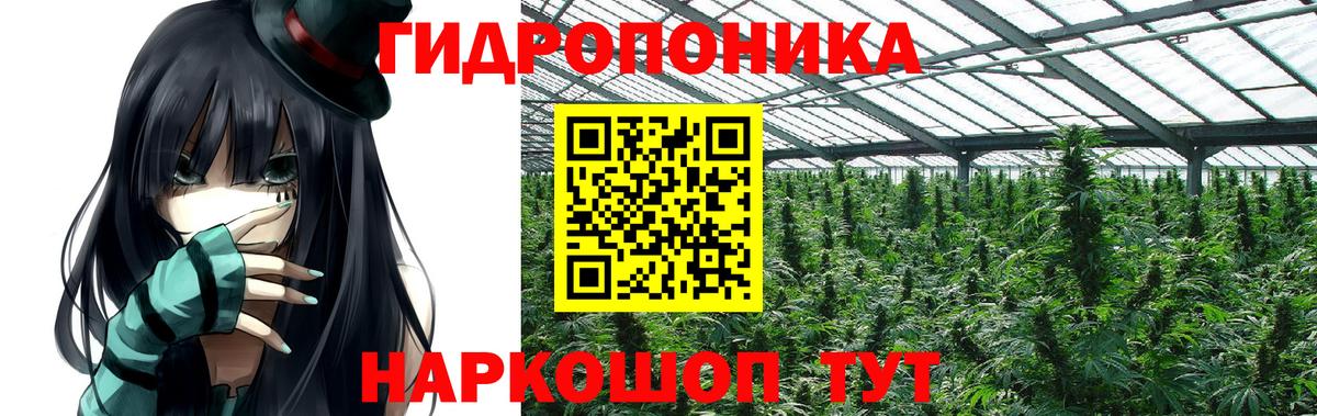 Бошки марихуана ГИДРОПОН  Вход с VPN  Кинешма  МАРИХУАНА тримм  Бошки Шишки AK-47  Каннабис Bruce Banner 